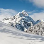公寓 Alpin Schröcken