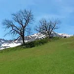 Апартаменты Alpin *