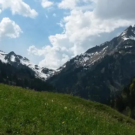 Appartement Alpin Schröcken