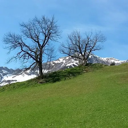 Appartement Alpin *